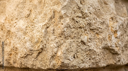 Close-up of a beige rock surface.