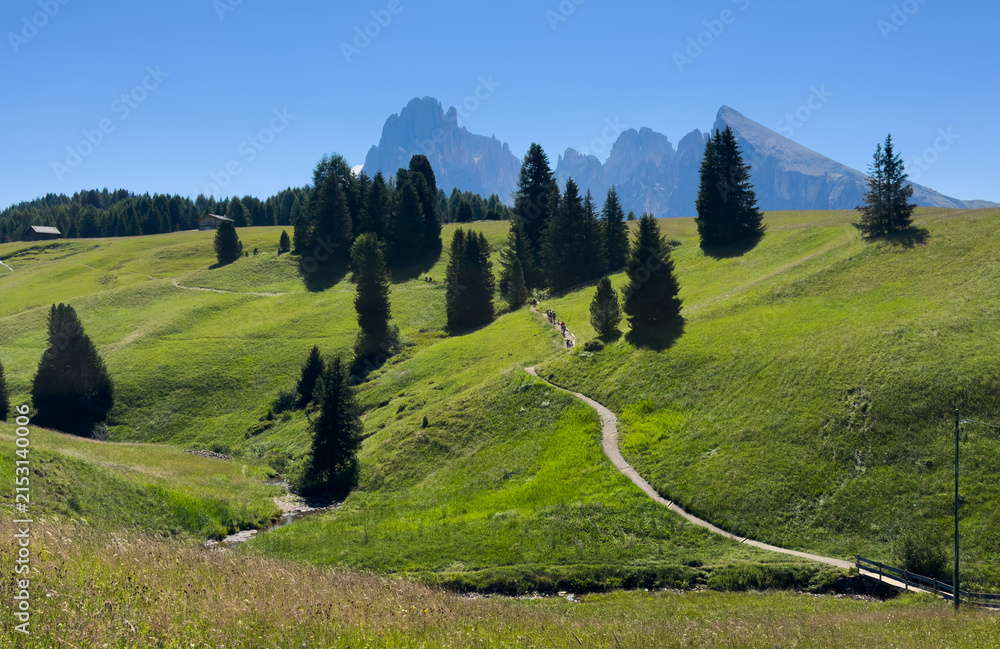 Obraz premium View of beautiful landscape in the Alps with fresh green meadows in the background on a sunny day with blue sky and clouds in summertime. Alpe de Siusi, Dolomite Alps