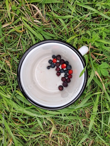 фотографія A top down shot of a white metal enamel mug containing freshly picked wild strawberries, juneberries, and blueberries sitting on green grass