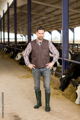 Fotografie Confident male farmer standing in a modern dairy farm barn with Holstein cattle background