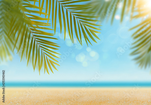 Palm Fronds Framing a Serene Tropical Beach Shoreline