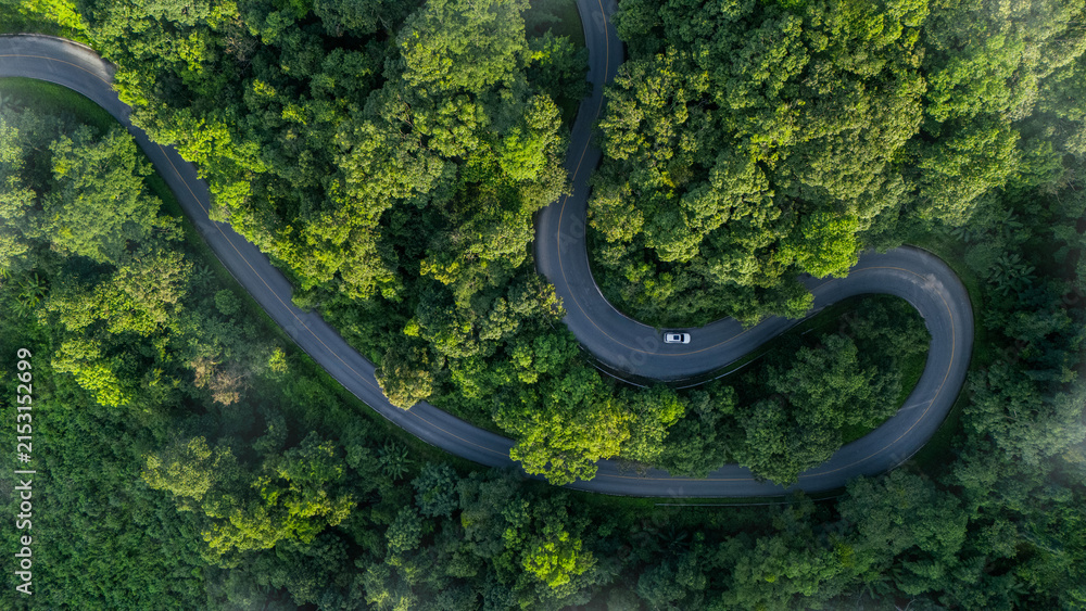 Naklejka premium Top-down aerial view of a green forest with an EV car, net-zero emissions concept, eco-friendly tourism, future logistics, ESG goals, and sustainable transportation.
