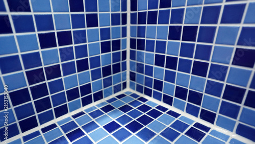Clean Blue Bathroom Tiles Highlighting Shine and Freshness