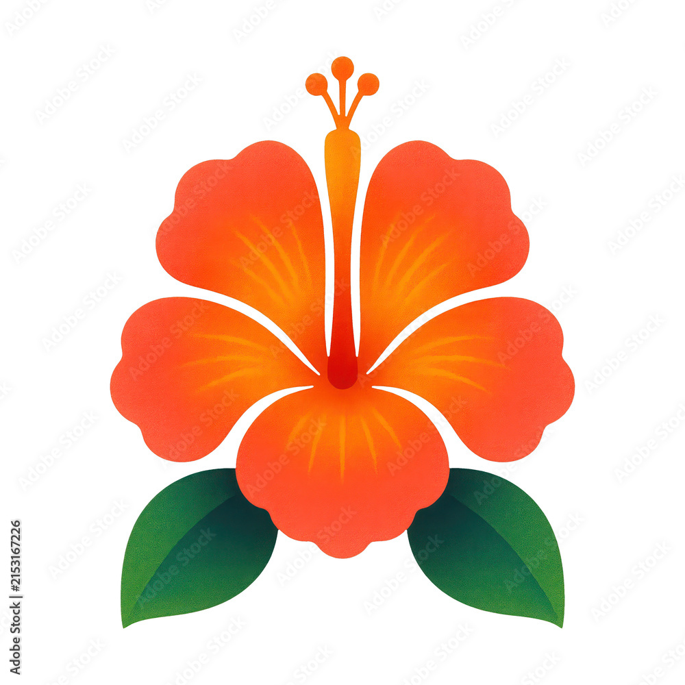 Fototapeta premium PNG Vibrant tropical hibiscus illustration.