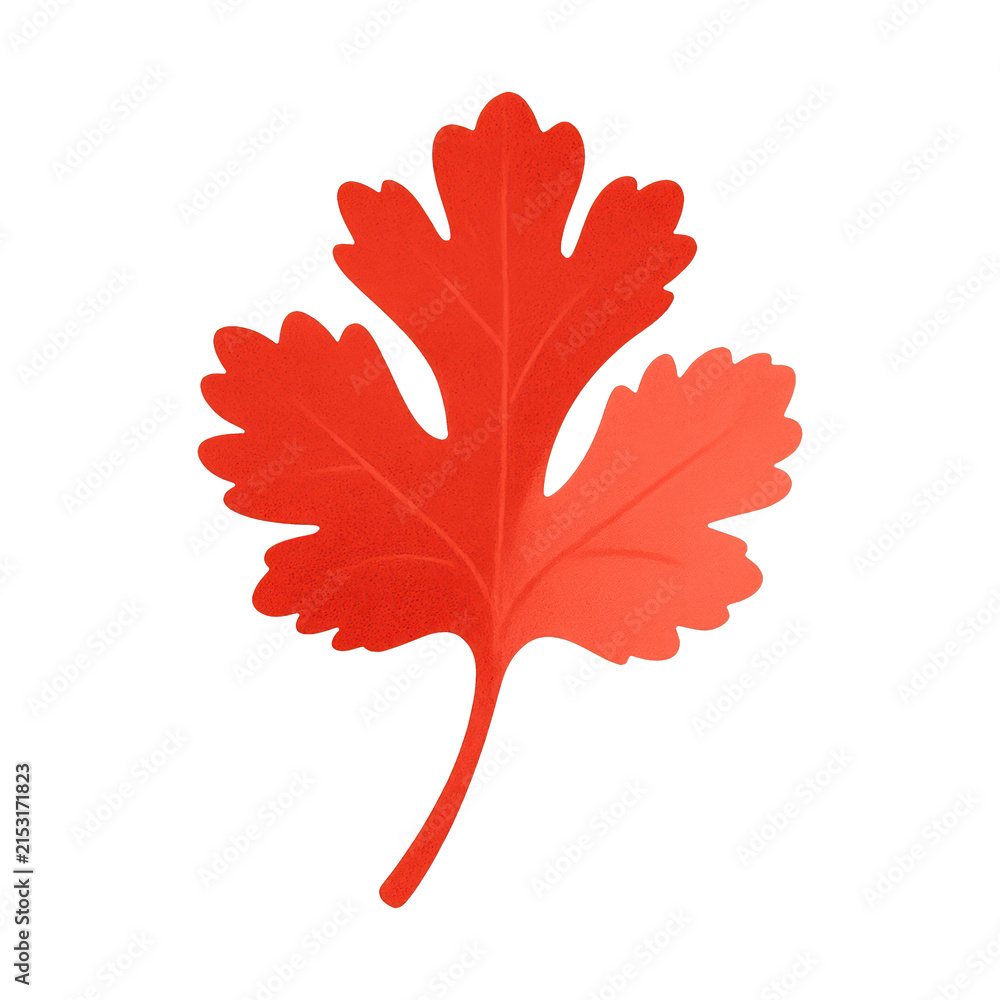 Fototapeta premium PNG Red maple leaf silhouette design.
