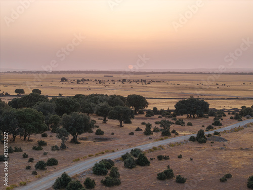 Foto Dry Dehesa landscape in Salamanca, Spain, showing the impact of severe drought and summer heat
