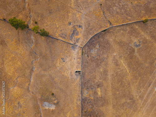 фотографія Dehesa landscape in Salamanca, Spain, showcasing the impact of extreme heat and prolonged water scarcity