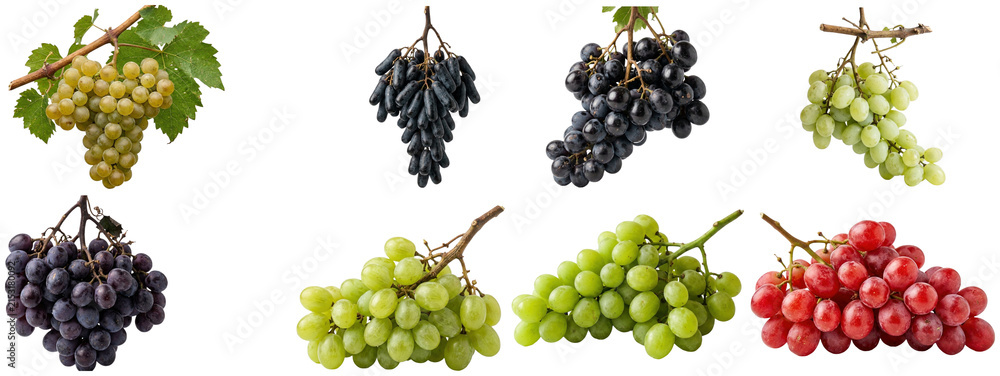 Naklejka premium A collection of assorted grape bunches in green, red, purple, and black varieties isolated on white.