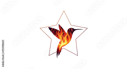 flaming hummingbird in star