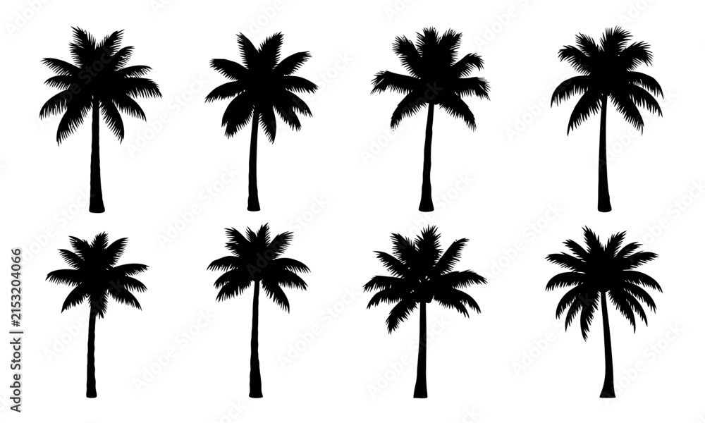 Fototapeta premium Six palm trees in a simple black and white line art style