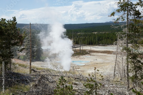 Obraz na płótnie Panache de Vapeur à Norris Geyser basin - Yellowstone