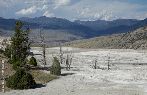 Quadro su tela Paysage lunaire à Norris Geyser Basin - Yellowstone