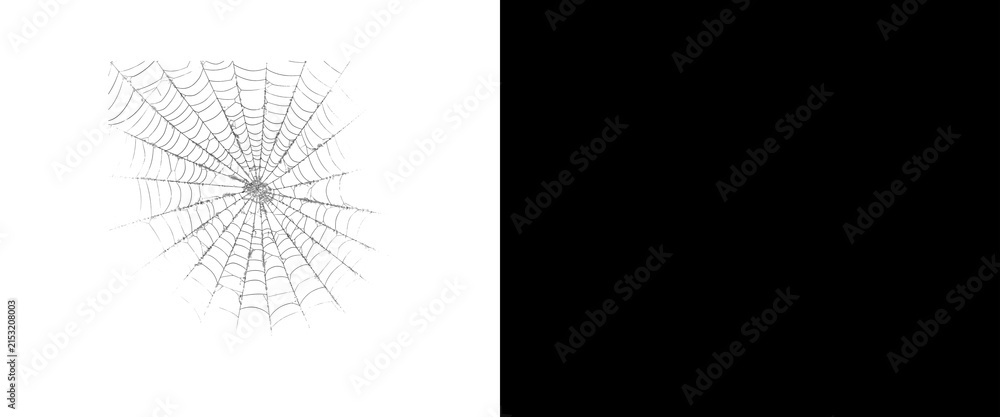 Fototapeta premium Spider web graphic element on white background, isolated spiderweb design, minimalist Halloween decoration asset