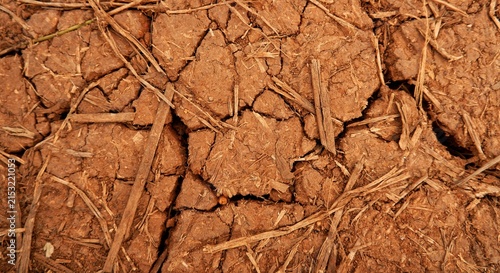 Cracked Dry Red Soil Texture On Parched Earth Showing Drought And Arid Land Conditions