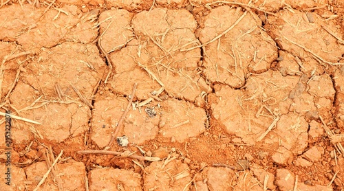 Cuadro en lienzo Cracked Dry Red Soil Texture On Parched Earth Showing Drought And Arid Land Cond