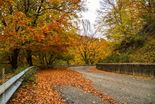 autumn