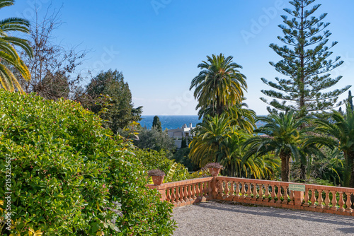 Mediterranean garden with palm trees and sea view under a clear blue sky