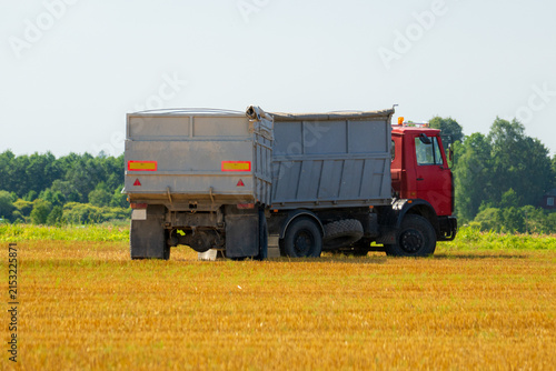 Farm truck transporting harvested grain across a summer field