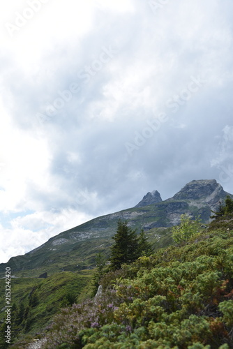 Maderanertal