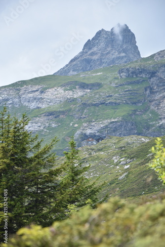 Maderanertal
