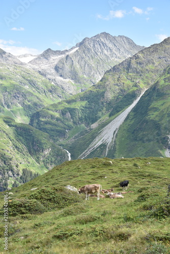 Maderanertal