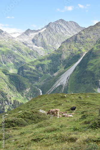 Maderanertal