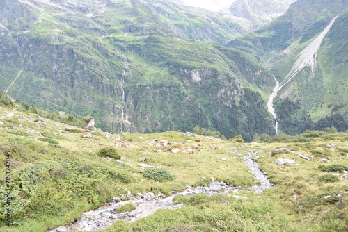 Maderanertal