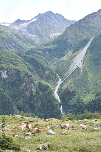Maderanertal