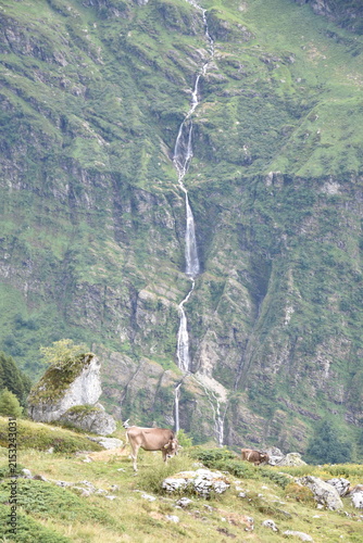 Wasserfall Maderanteral