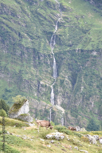 Wasserfall Maderanertal