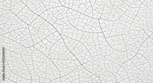 A highly detailed cracked texture background featuring a complex pattern of black fractured lines on a white ceramic surface for an abstract aged