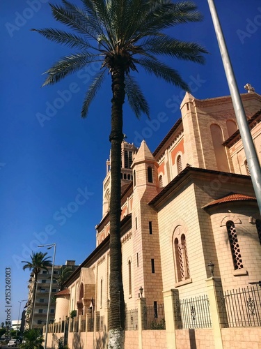 Photography Historic Stone Church Architecture with Tall Palm Tree Under Clear Blue Sky