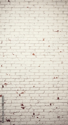 Weathered Canvas: A Texture Study