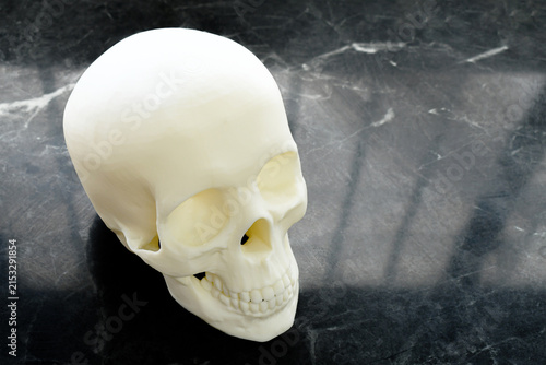 Фотография 3D print skull model on the table.