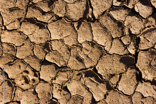 Canvastavla Top view of parched clay ground featuring deep dehydration cracks and arid soil