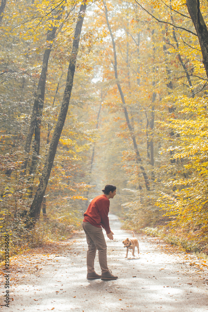 Fototapeta premium Woman having fun in a forest with her dogs early in an autumn morning.