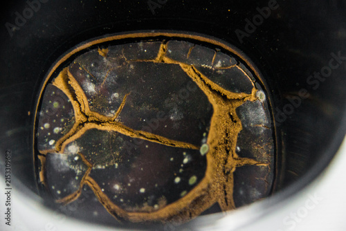 Rotten spoiled dry cracked coffee grounds remaining at the bottom of the cup, brown red, beige, green mold spots, leftover for many days in a black mug, macro closeup  drink abstract shot, Cairo Egypt