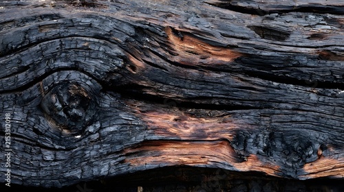 Close up of charred wood grain showing deep cracks and contrasting darkened textures from fire exposure