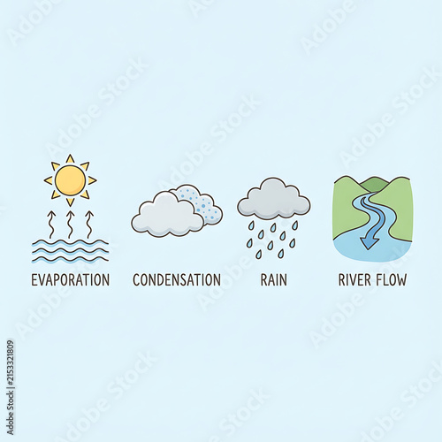 A colorful vector diagram illustrating the four stages of the water cycle including rain.