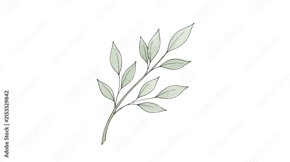 Fototapeta premium Minimalist Watercolor Botanical Branch with Sage Green Leaves