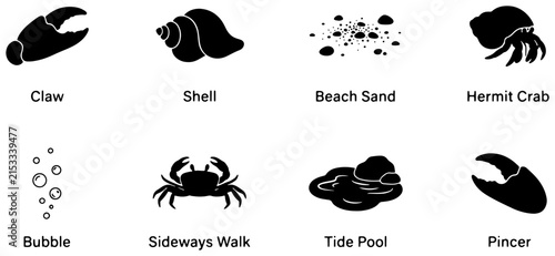 Ocean Icons Set: Crab Claw, Seashell, Hermit Crab, Beach Sand, Bubbles, Tide Pool, Pincer, Sideways Walk