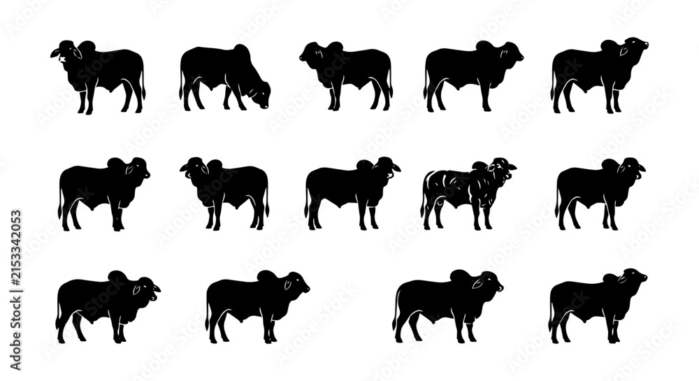 Obraz premium Brahman Cattle Silhouettes Collection, Farm Animals Vector Set, Livestock Icons
