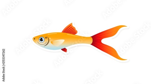 Cute Flat Vector Illustration of Orange Guppy Fish with Red Fins Isolated on Light Background