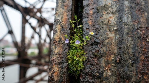 Wildflowers Growing from Rusted Metal Structure
