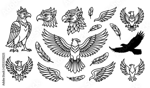 Collection of detailed hand drawn eagle and bird illustrations featuring wings feathers and various flying poses