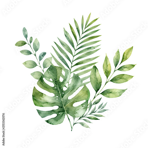 Watercolor Tropical Green Leaves Botanical Collection on White Background