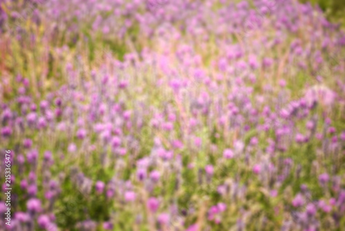 Blurred abstract art background with purple meadow flowers