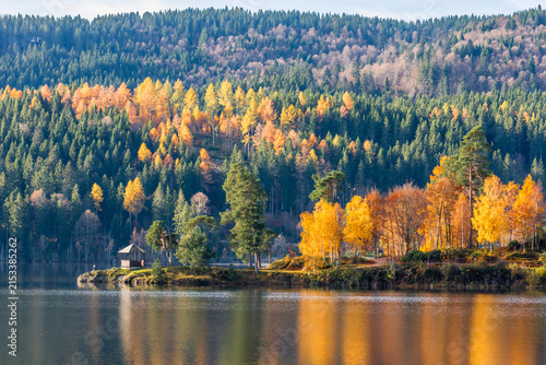 Autumn scenery at Lake Schluchsee with the Amalienruhe pavilion, Black Forest, Germany