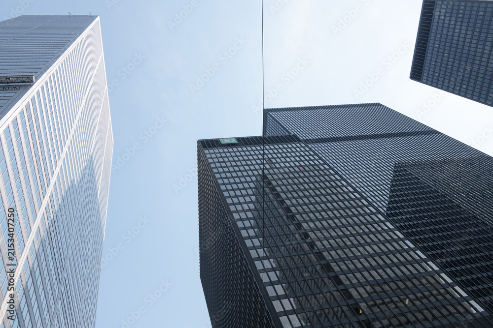Fototapeta premium skyward glance at Commerce Court West (at left) and Toronto-Dominion Centre, designed by Ludwig Mies van der Rohe and others, in modern international style, King and Bay 