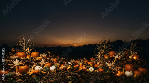 A vast pumpkin patch radiates a warm inviting glow beneath a beautiful dramatic twilight sky with trees forming a dark horizon silhouette